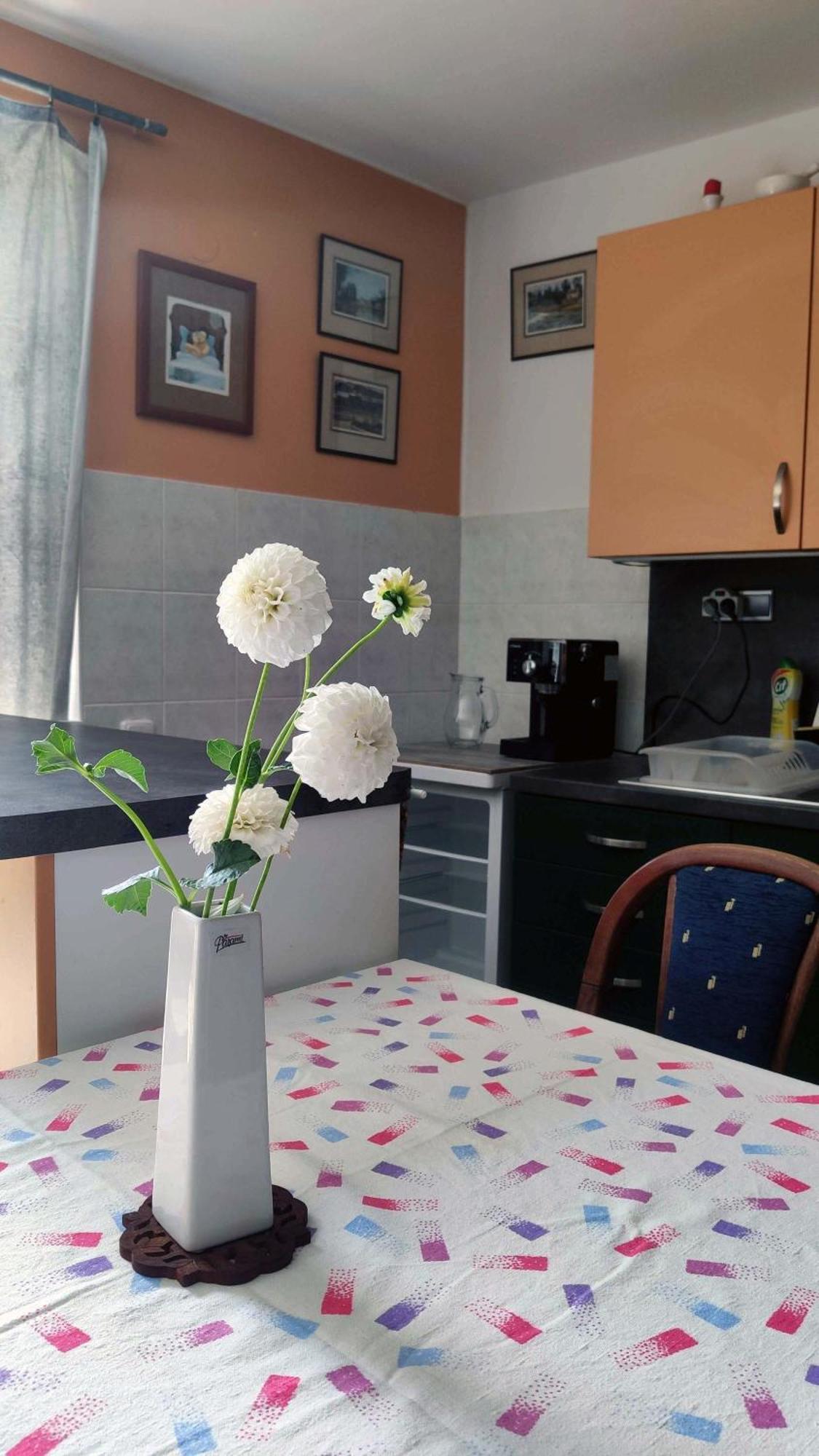 Apartman Ulehla 즐린 외부 사진
